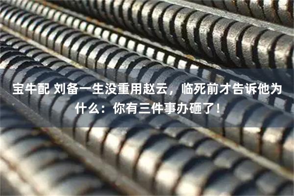 宝牛配 刘备一生没重用赵云，临死前才告诉他为什么：你有三件事办砸了！