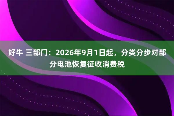 好牛 三部门：2026年9月1日起，分类分步对部分电池恢复征收消费税